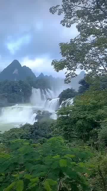 有些人崩溃在年夜饭的厨房里,原因竟是......